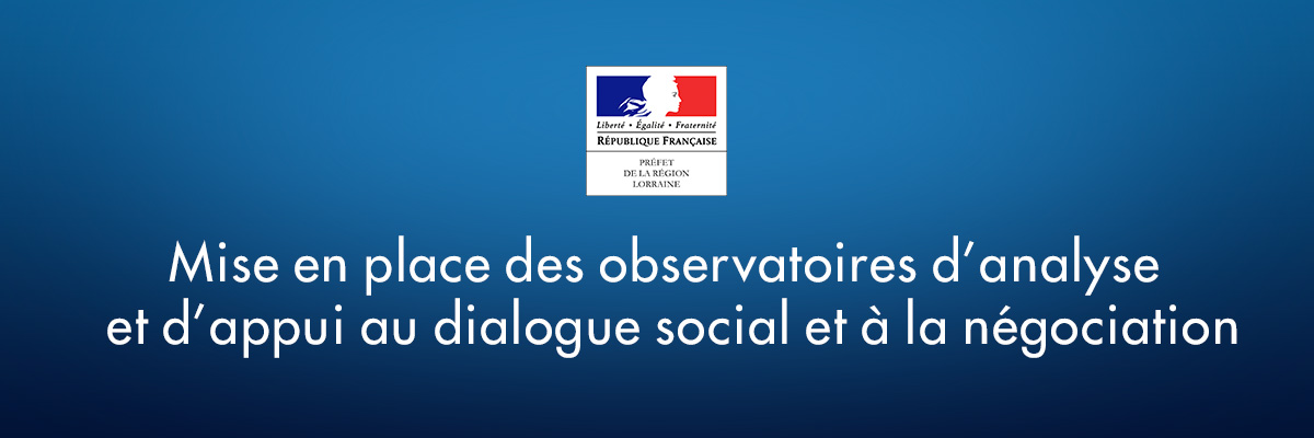 Mise en place des observatoires d'analyse et d'appui au dialogue social et à la  négociation